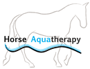 Horse aquatherapy
